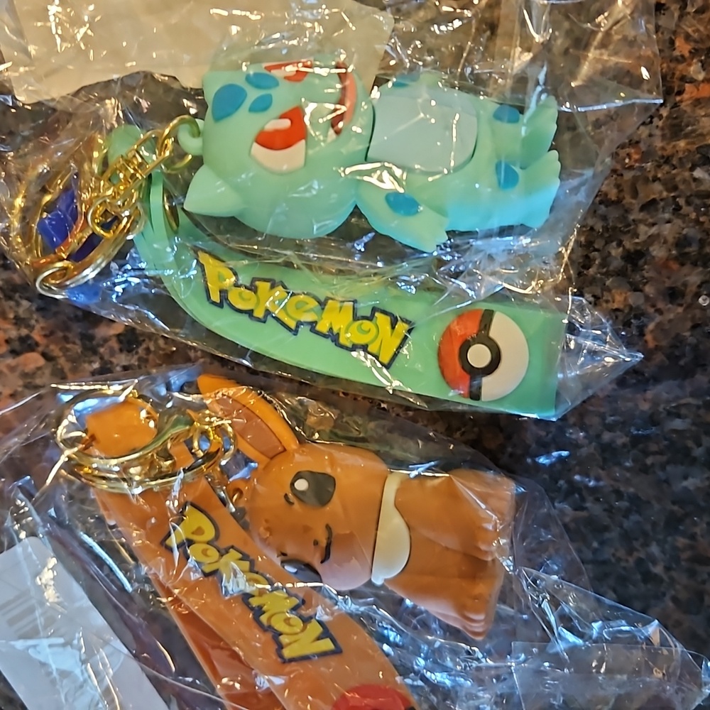 Pokemon Keychain pick 1